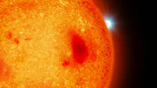 Four Hidden White Dwarfs Detected in Nearby Binary Star Systems