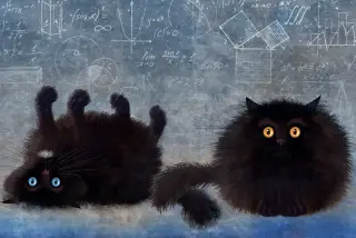 When Schrödinger Met the Box: Reassessing Quantum Reality