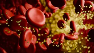 CRISPR Therapy Maintains 52% Cholesterol Reduction After One Year