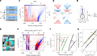 Light-Driven Polarons Reveal a Wigner Crystal in a 2D WSe2 Monolayer