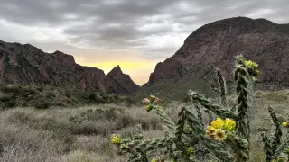 Trump Administration Seeks Supreme Court Ruling to Resume Big Bend Border Construction