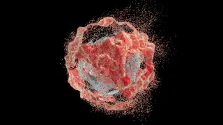 PCAIs push pancreatic cancer cells to self-destruct by overactivating key signaling pathways