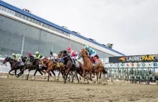 Laurel Park hosts growing Preakness 2026 field ahead of Monday draw