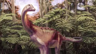 Antarctica’s first dinosaur fossil unearthed from decades-old drawer find
