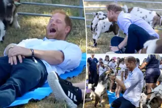 Prince Harry’s Goat-Yoga Moment Steals the Show at Military Charity Festival