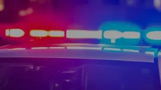 Portland Police Detain Four After Suspect Vehicle Flees Downtown Shooting Scene