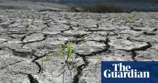 August 2026 Joins Global Heat Records, Amplifying Climate Urgency
