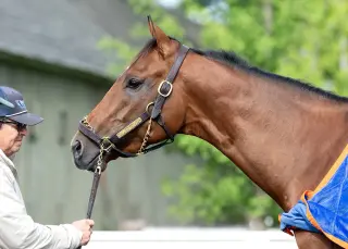 Renegade Seeks Belmont Rematch as 2-1 Favorite in 158th Stakes