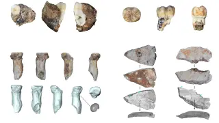 Denisovans Roamed a Southwest China Cave for 100,000 Years, New Fossils and Tools Uncovered