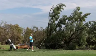 Judge Halts DC Golf Course Tree Removals After 430 Felled in Weekend Blitz
