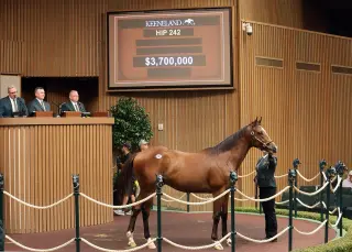 Into Mischief Colt Tops Keeneland Book 1 at $3.7 Million, Igniting Sale Momentum