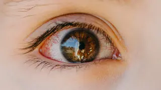 Toxoplasmosis Could Be Classified as an NTD to Unlock Global Health Funding