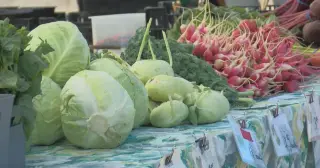 Cyclospora outbreak prompts vigilance as Wisconsin reports 43 cases