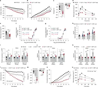 Unimolecular quintuple agonist improves obesity and diabetes in mice