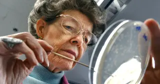 Mary-Dell Chilton, Pioneer of Genetically Modified Plants, Dies at 87