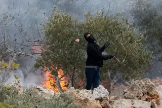 West Bank olive harvest violence escalates as settlers assault European diplomats