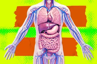 Secretive biotech envisions brainless 'organ sacks' for organs, prompting ethics questions