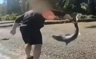 Puget Sound shark wrestling leads to charges in Washington