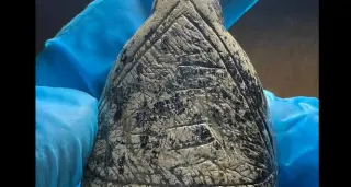 Ice Age Artists Mimicked Mammoth Tusk Growth Rings in 18,000-Year-Old Ukrainian Figurines
