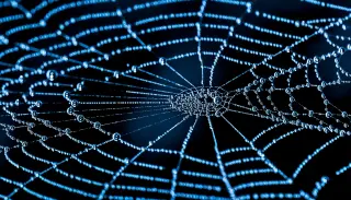 JWST Maps the Cosmic Web in Unprecedented Detail