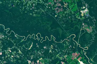 Satellite imagery reveals the dynamic floodplain ecology of Congaree National Park