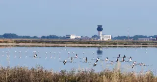 Albania’s Flamingo Revolution: Protests surge over Kushner-linked luxury resort