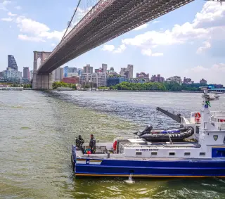 Naked Brooklyn Bridge Jump Sparks Multiple Charges