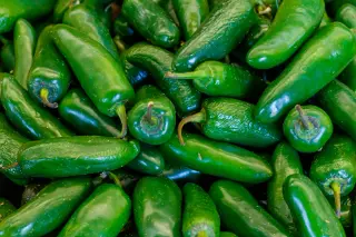 Outbreak Watch: Florida Faces Multiple Foodborne Illness Alerts Across Lettuce, Berries, Nuts, and More