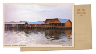 Stilted life and mangrove guardians in Sulawesi's Bajau village