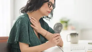 Early Menopause Hormone Therapy Linked to Lower Cardiovascular Risk in Women with Hot Flashes