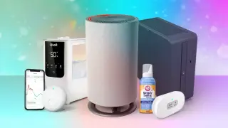 Five Home-Tech Moves That Quieted My Spring Allergies