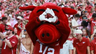 Arkansas Fans Skip the Stripe-Out as Georgia Dominates in Lopsided Home Loss