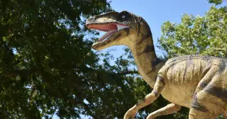 Feathered reality: Velociraptor far smaller and fluffier than Jurassic Park imagined