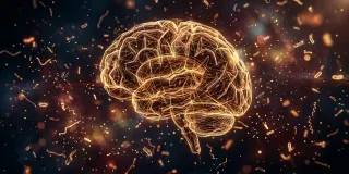 Coffee reshapes gut microbes to subtly influence mood and memory