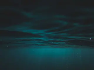 Deepest chemosynthetic life found 9.5 km below the Pacific floor
