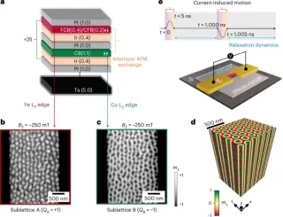 Antiferromagnetic skyrmion lattice reveals incoherent scattering and coherent flow with quantified interactions