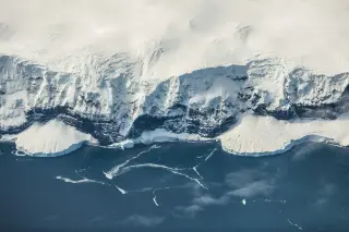Venus’s Lost Moon, Gondwana’s Hidden Peaks, and Humans in Mice: A Wide-Ranging Science Digest