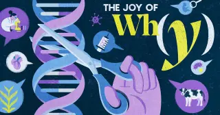 CRISPR’s Next Act: From Bacterial Defense to One-Time Therapies and Global Ethics