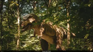Neutron imaging reveals Scotty, the largest T. rex, died from a rib injury in a dinosaur fight