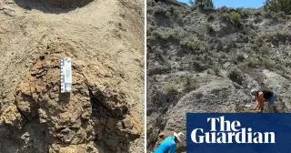First Adult T. rex Trackway Discovered in North Dakota