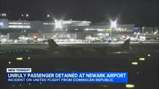Unruly Passenger Detained at Newark After United Flight Incident