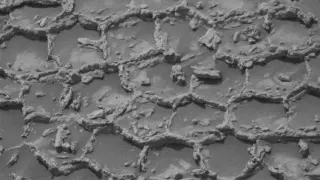 Curiosity Documents Martian Honeycomb Pattern, Deepening Mystery