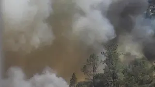 Tuolumne County Faces Evacuations as Dove Fire Spreads