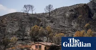 Britons Among 12 Dead in Spain’s Almería Wildfires