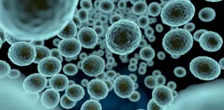 Space microbes and geopolitics: are we ready for the fallout?
