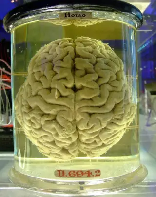 Consciousness at the Core: A Scientist Argues Reality Is Mind-First