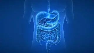Past prescriptions leave lasting fingerprints on the gut microbiome