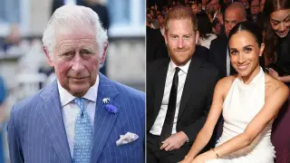 Charles Declares Harry and Meghan Private Citizens, Sparking Privacy vs. Publicity Debate