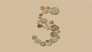 Opus 5 shifts focus to token efficiency over a capability leap