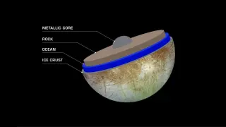 Starless Rogue-Moon Orbits Could Sustain Long-Lived Subsurface Oceans